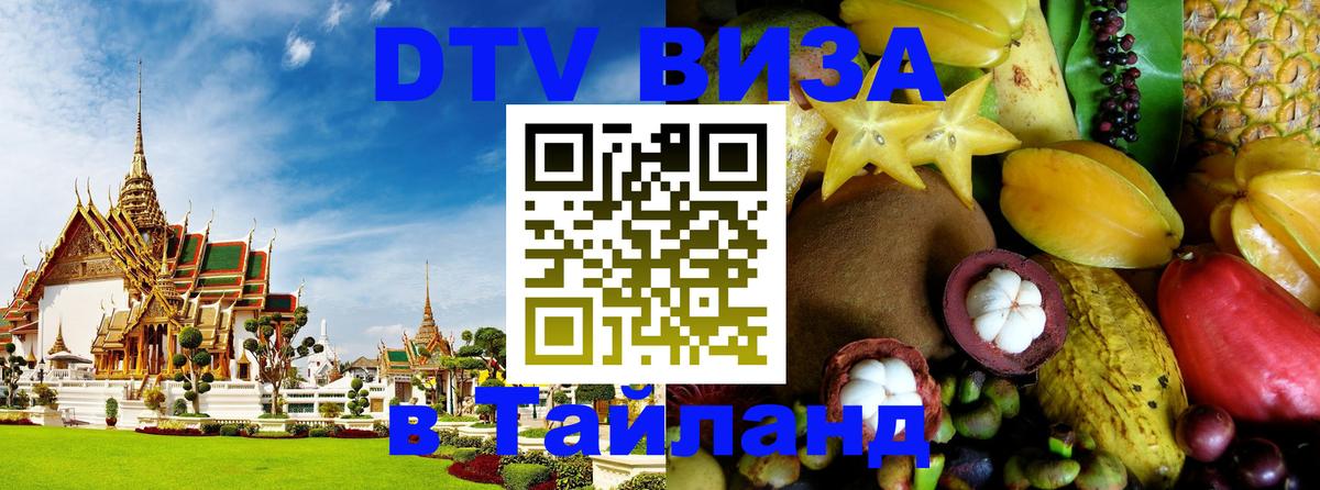 Оформление DTV визы под ключ: стоимость и тарифы, только загранпаспорт - 08.01.2026 